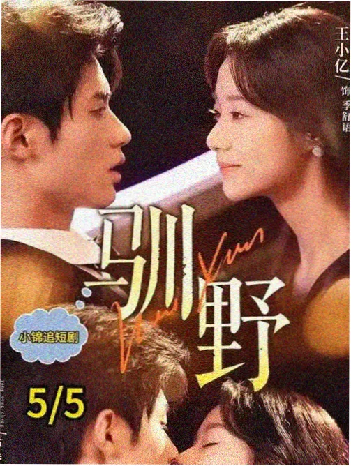 玻璃温室侧架上摆放的剧集编目卡片盒